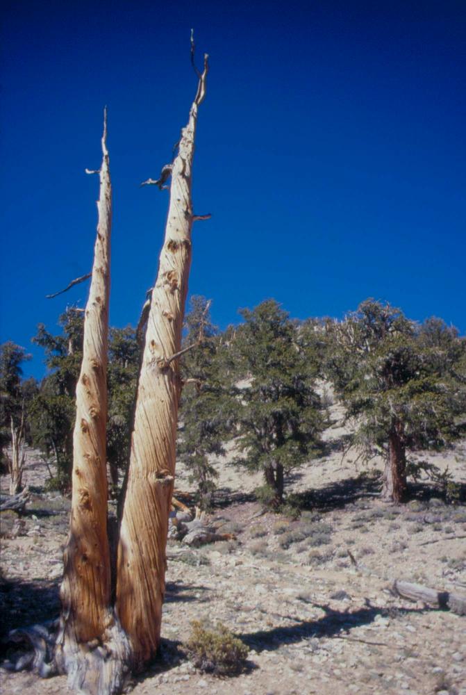 김차섭이 촬영한 풍경 사진