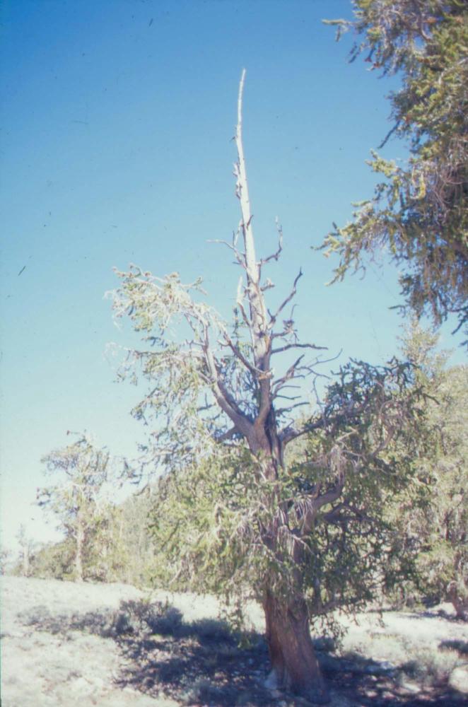 김차섭이 촬영한 풍경 사진