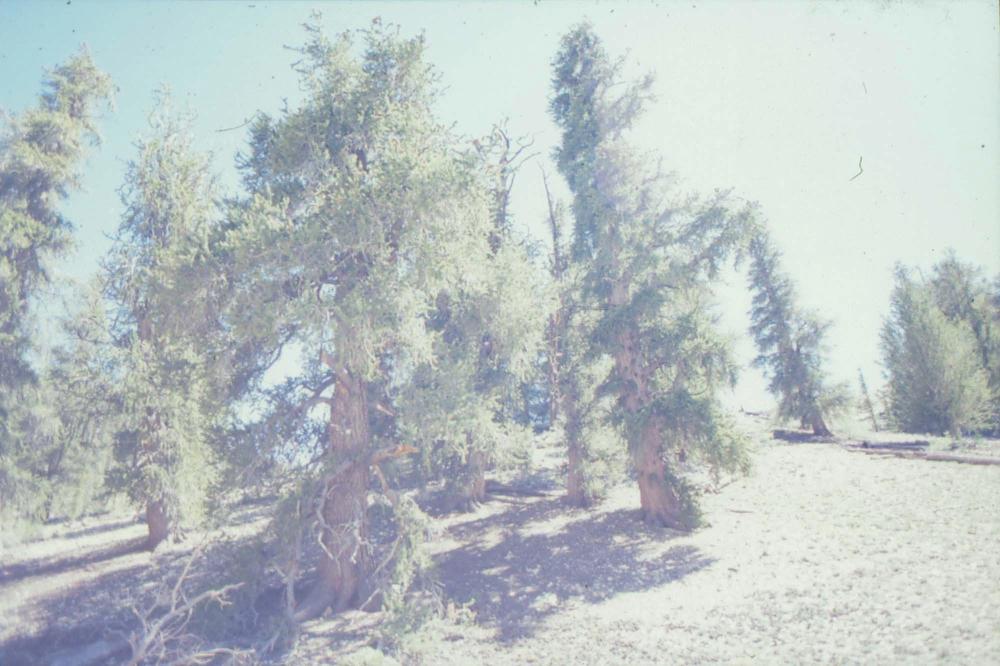 김차섭이 촬영한 풍경 사진