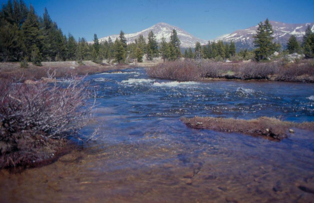 김차섭이 촬영한 풍경 사진