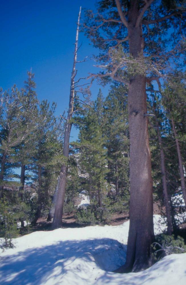 김차섭이 촬영한 풍경 사진