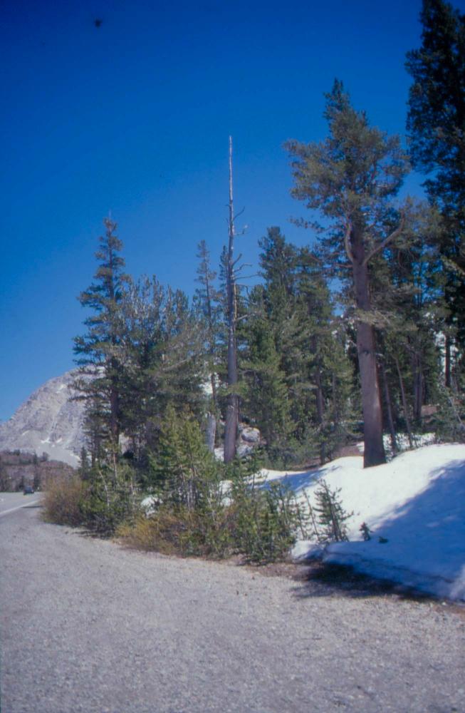 김차섭이 촬영한 풍경 사진
