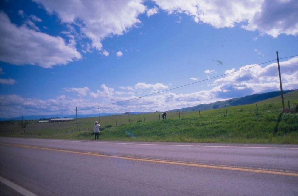 김차섭이 촬영한 풍경 사진