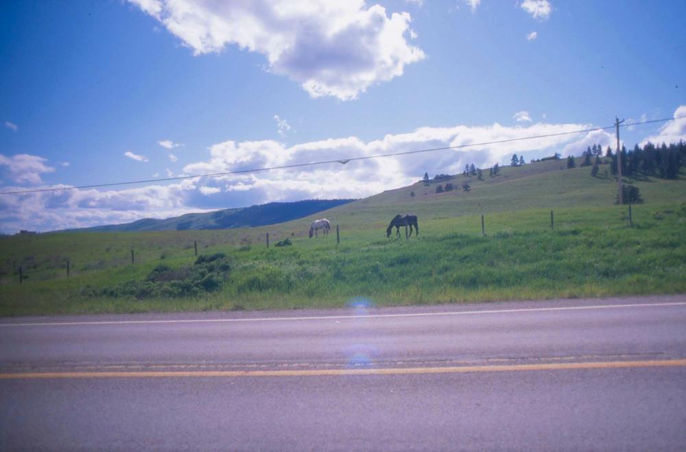 김차섭이 촬영한 풍경 사진
