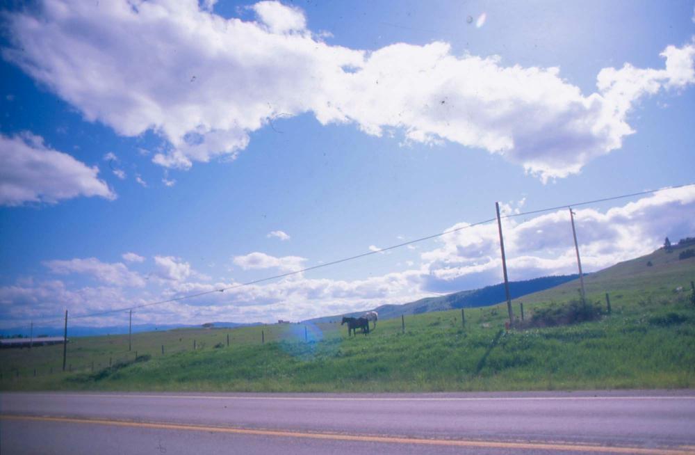 김차섭이 촬영한 풍경 사진
