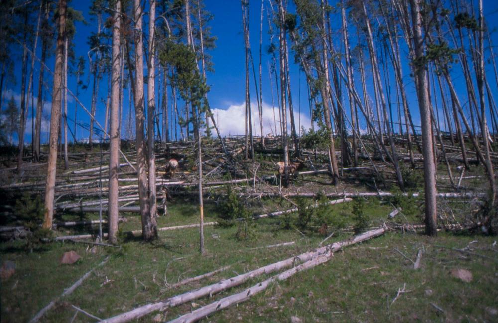 김차섭이 촬영한 풍경 사진