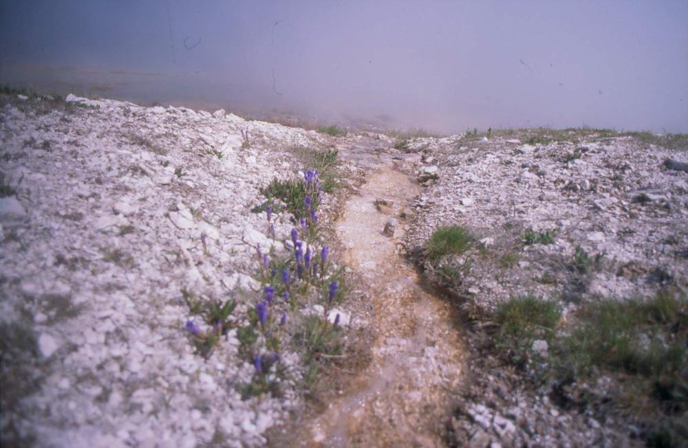 김차섭이 촬영한 풍경 사진