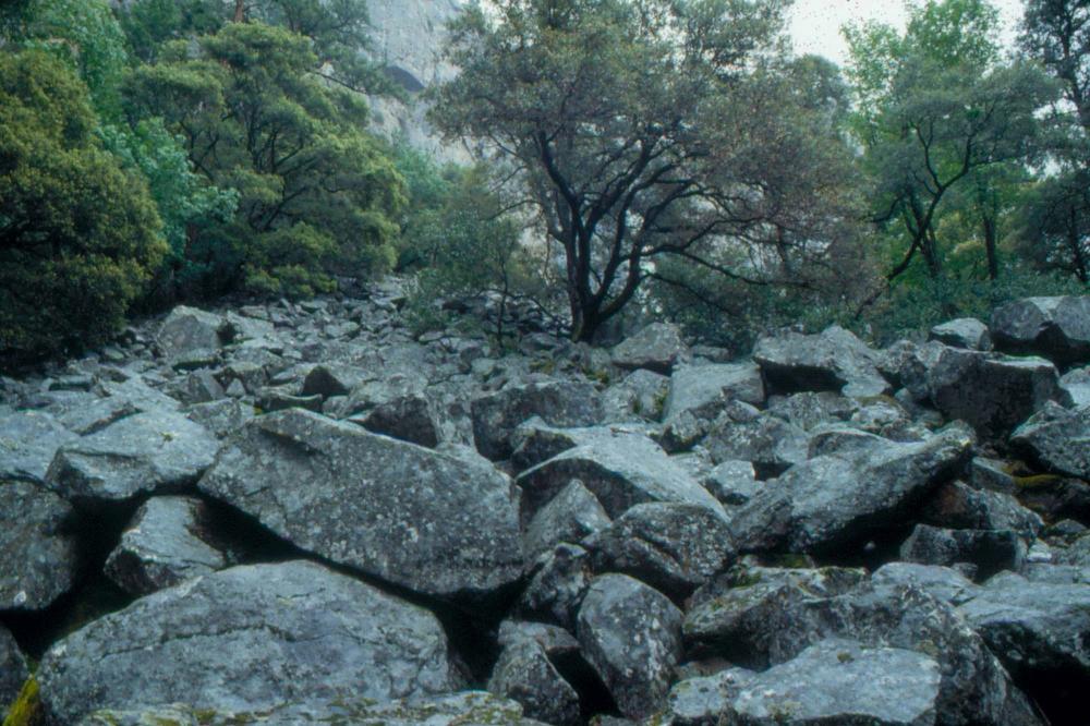 김차섭이 촬영한 풍경 사진