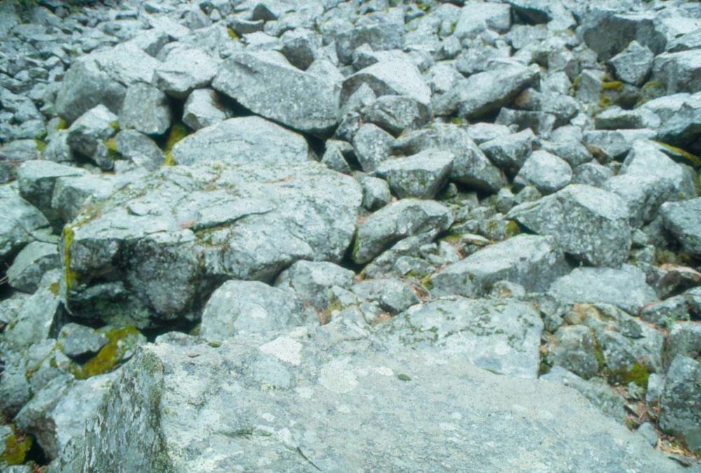 김차섭이 촬영한 풍경 사진