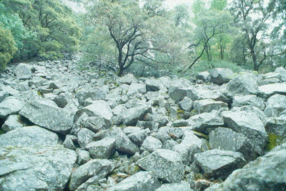 김차섭이 촬영한 풍경 사진