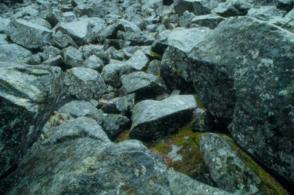 김차섭이 촬영한 풍경 사진