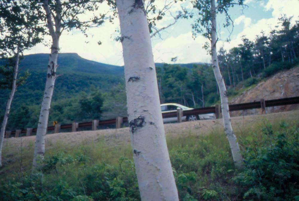 김차섭이 촬영한 풍경 사진