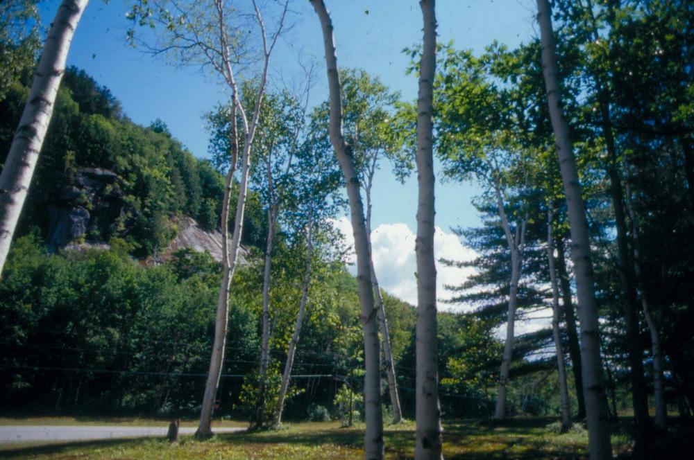 김차섭이 촬영한 풍경 사진