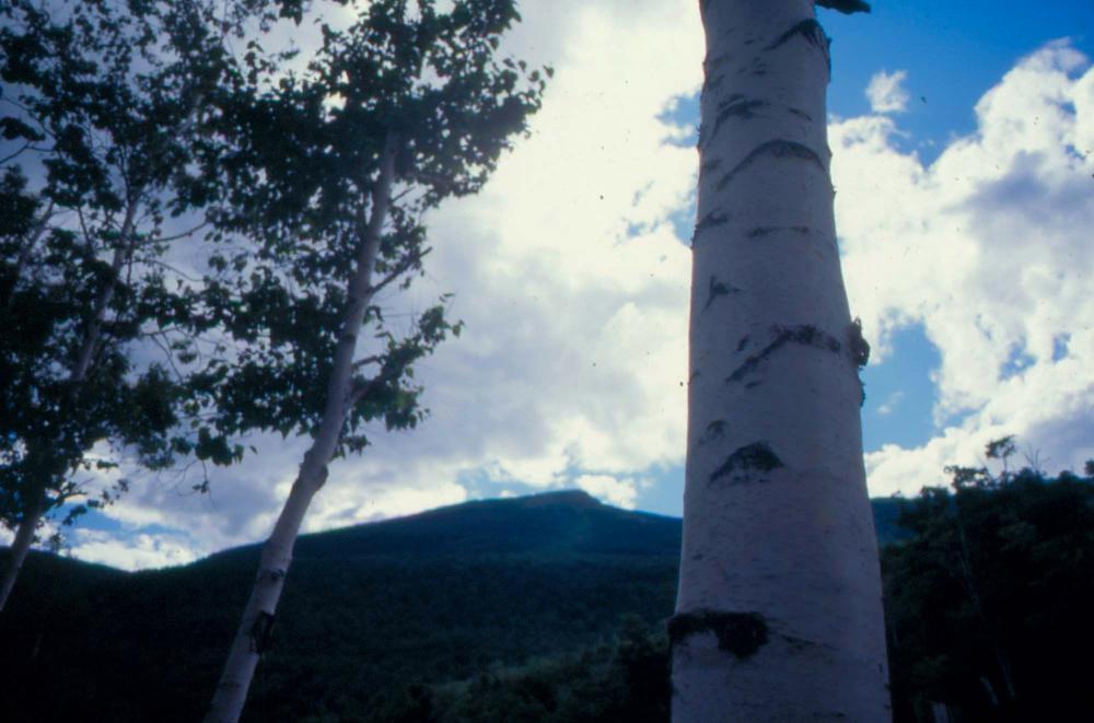 김차섭이 촬영한 풍경 사진