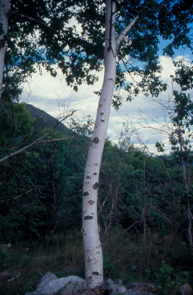 김차섭이 촬영한 풍경 사진