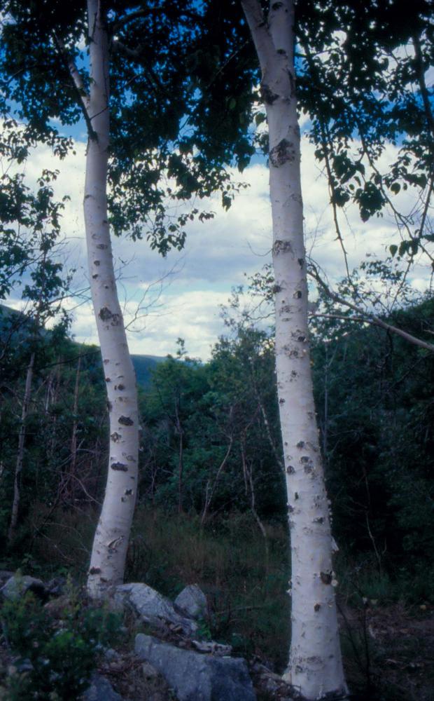 김차섭이 촬영한 풍경 사진