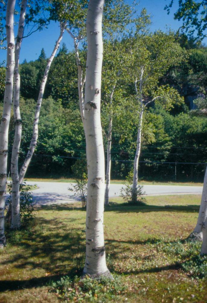 김차섭이 촬영한 풍경 사진