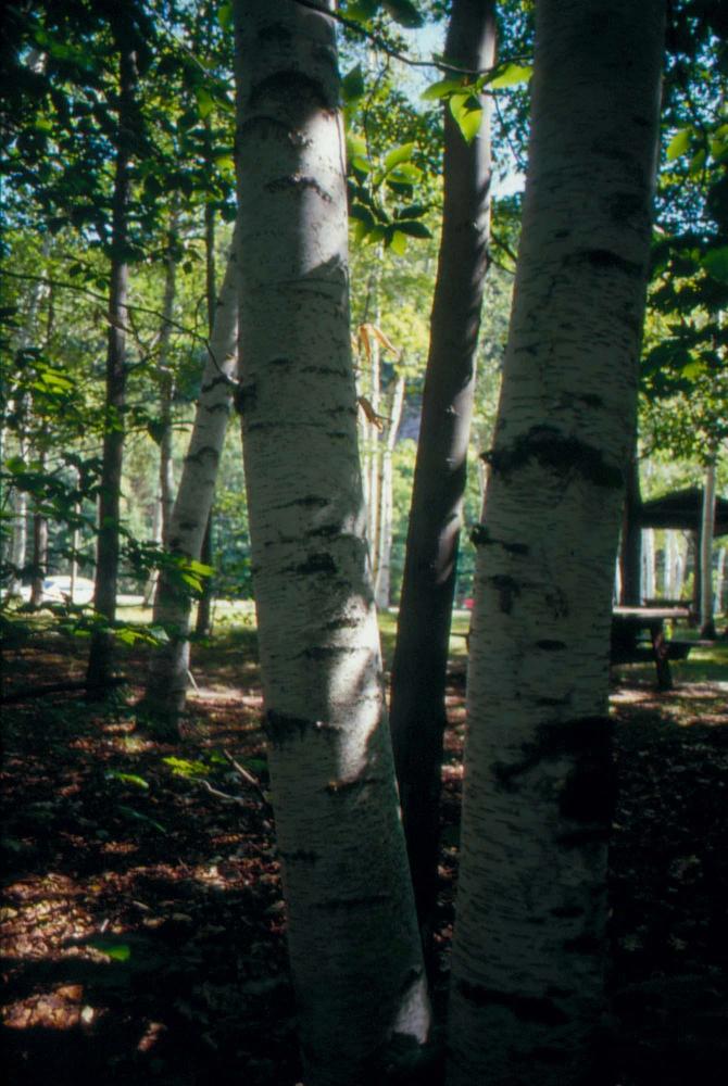 김차섭이 촬영한 풍경 사진