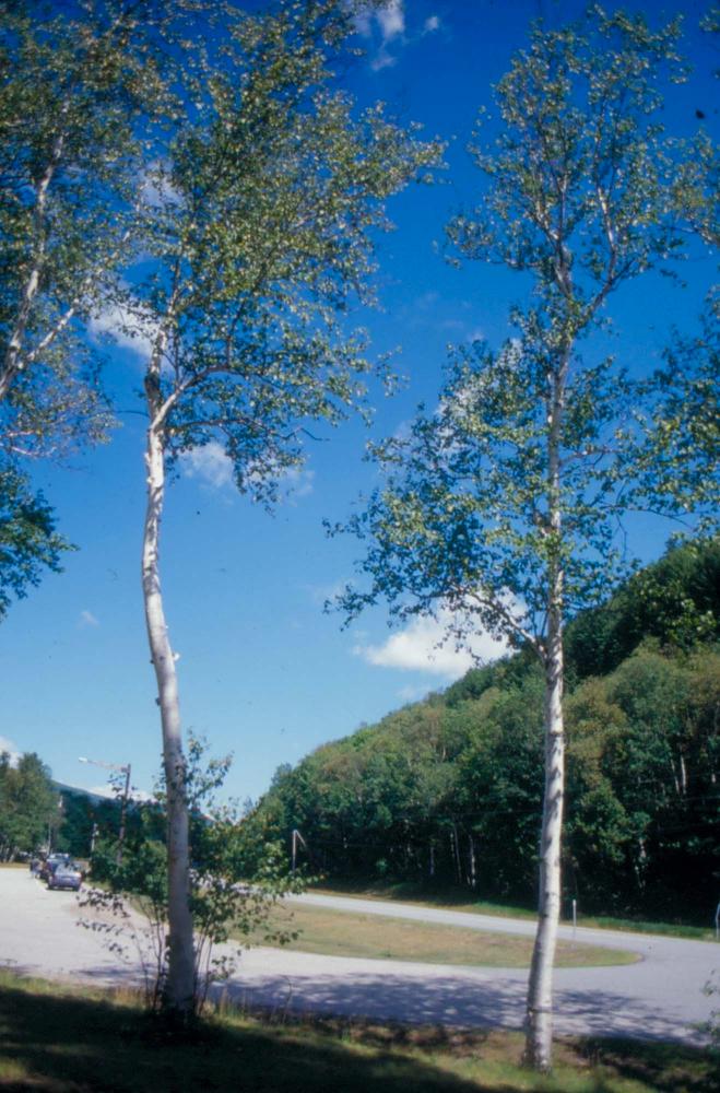 김차섭이 촬영한 풍경 사진