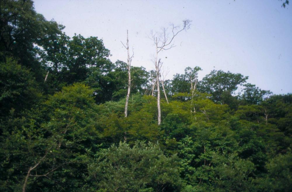 김차섭이 촬영한 풍경 사진