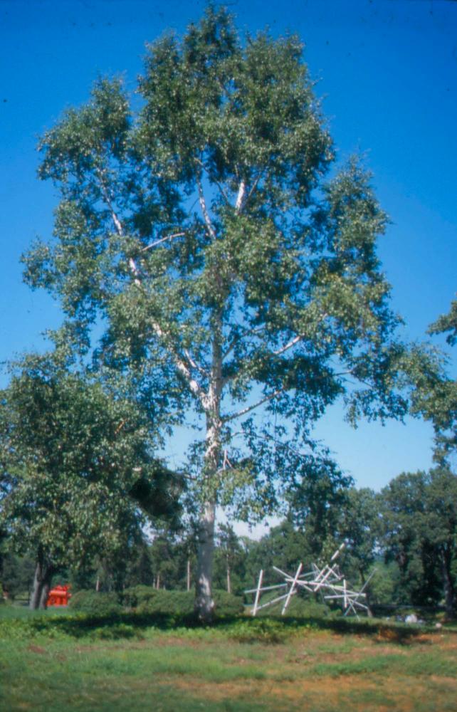 김차섭이 촬영한 풍경 사진