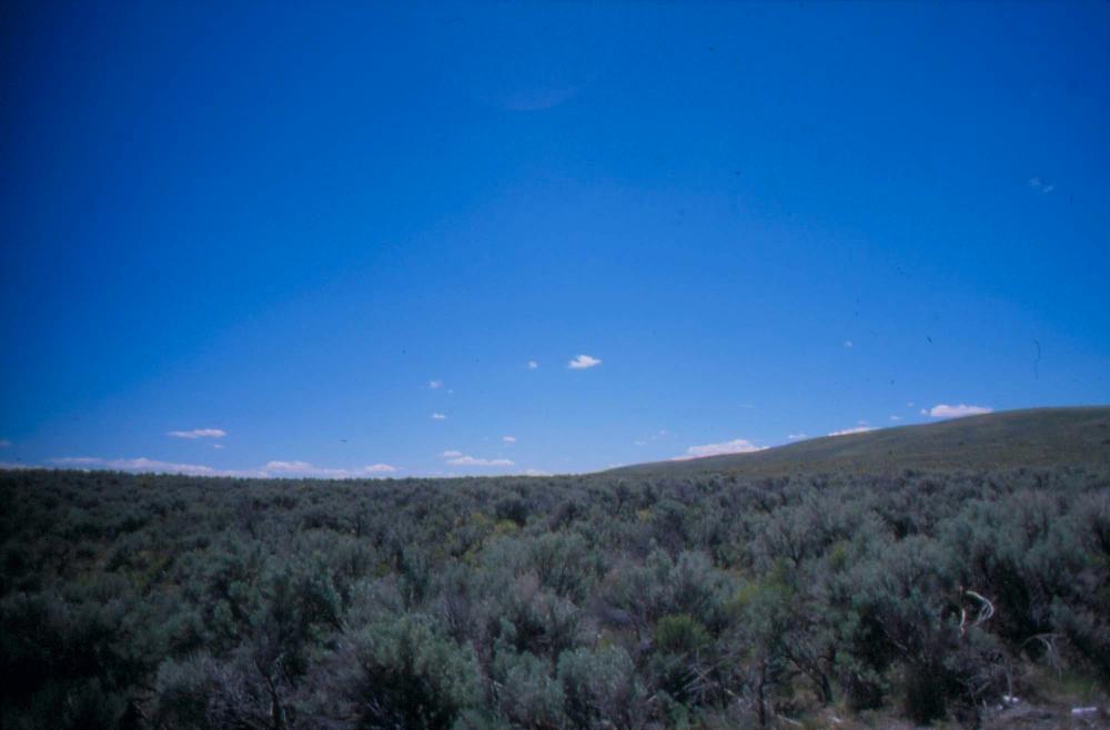 김차섭이 촬영한 풍경 사진