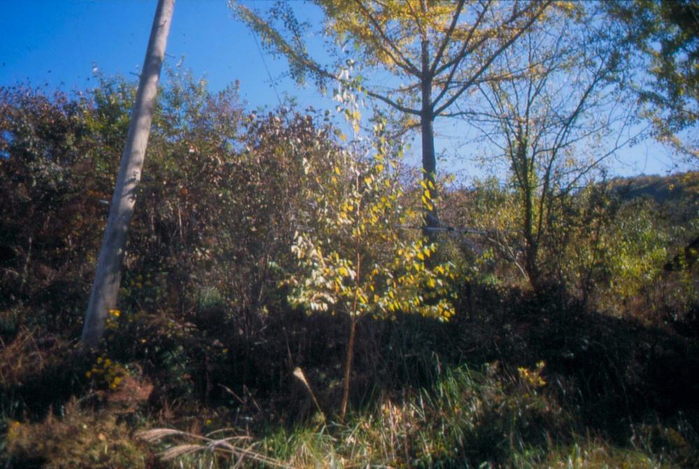 김차섭이 촬영한 풍경 사진