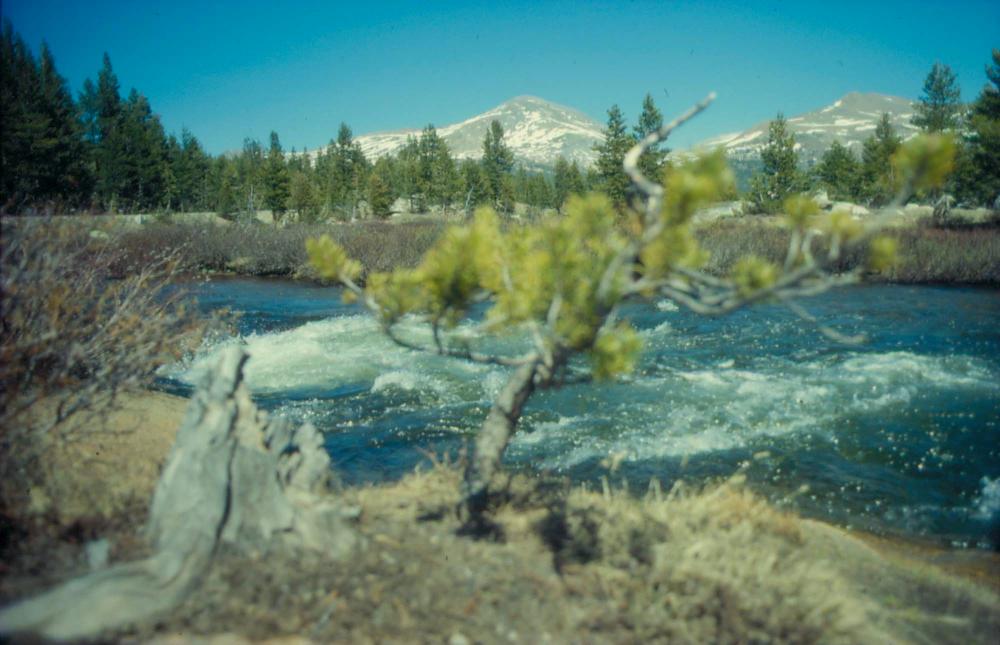 김차섭이 촬영한 풍경 사진