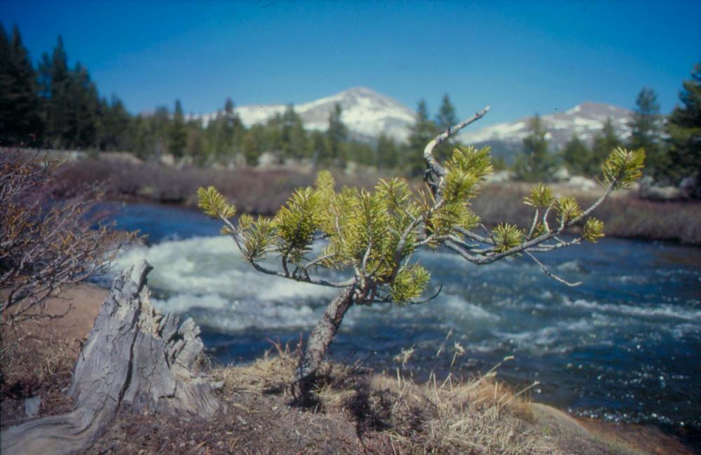 김차섭이 촬영한 풍경 사진