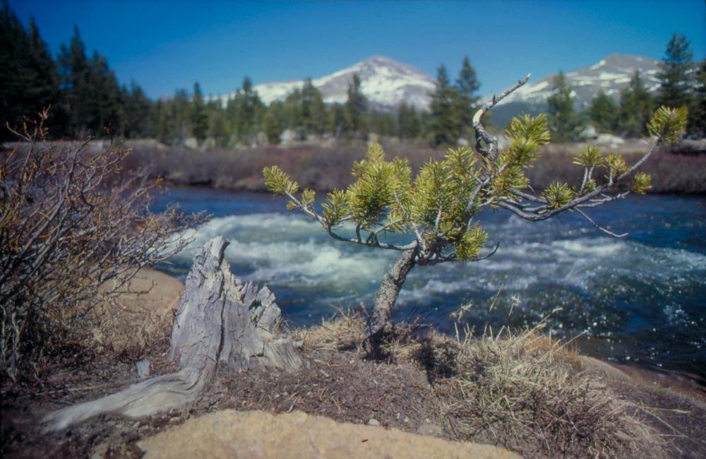 김차섭이 촬영한 풍경 사진