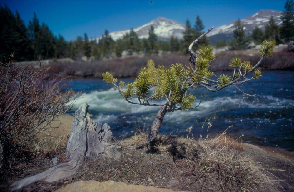김차섭이 촬영한 풍경 사진