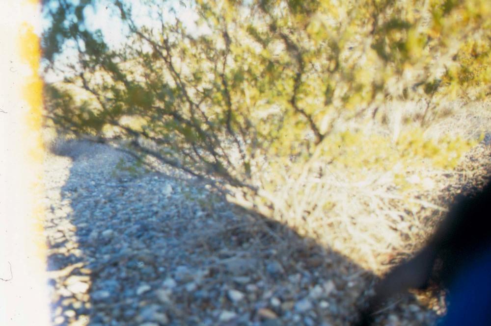 미국 애리조나주에서 촬영한 풍경 사진 1