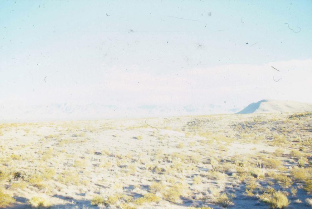 미국 애리조나주에서 촬영한 풍경 사진 2