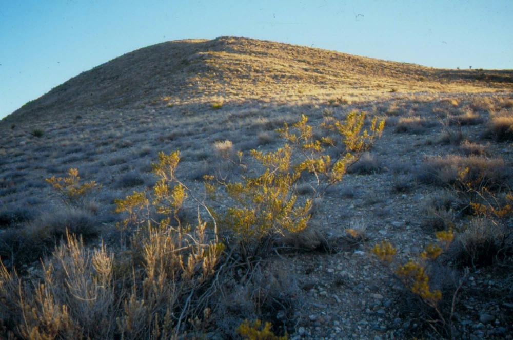 미국 애리조나주에서 촬영한 풍경 사진
