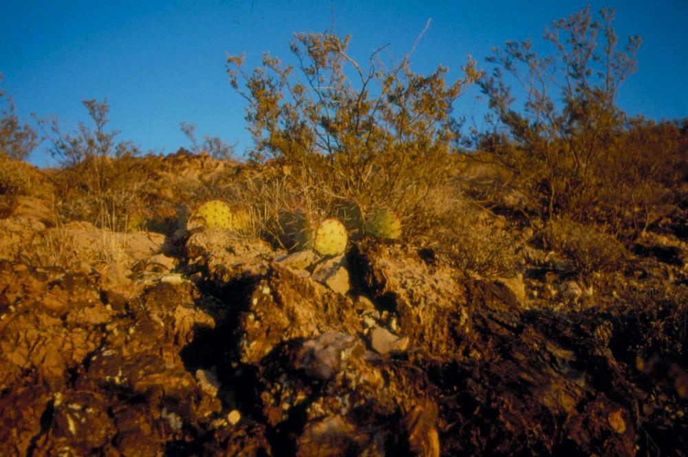 미국 애리조나주에서 촬영한 풍경 사진