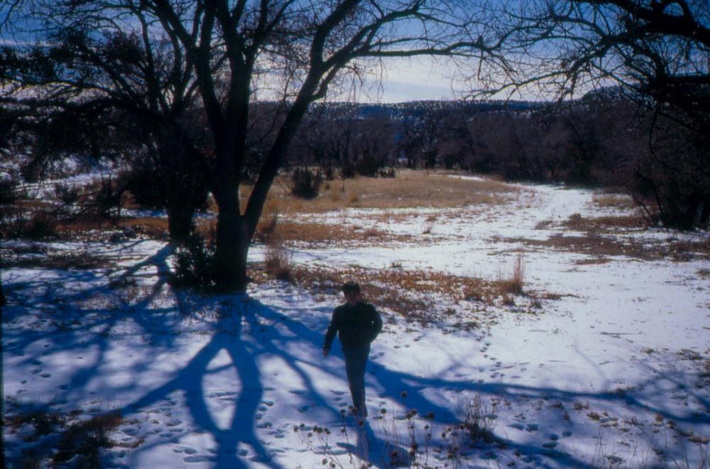 미국 애리조나주에서 촬영한 풍경 사진