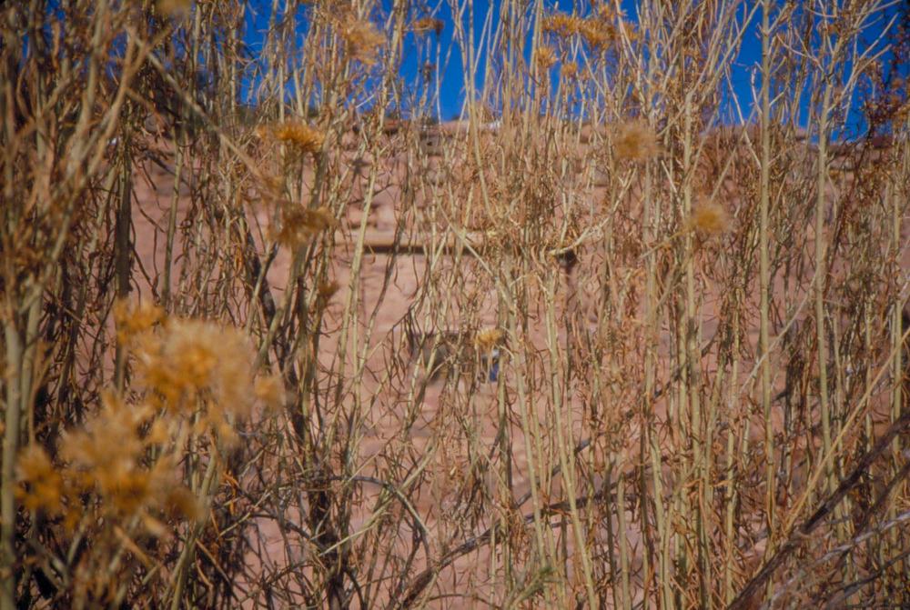 미국 애리조나주에서 촬영한 풍경 사진