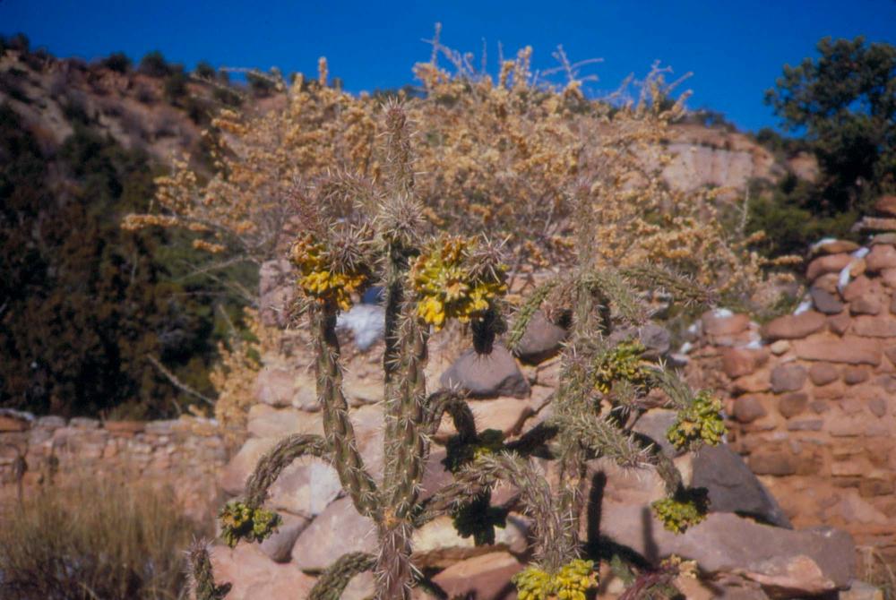 미국 애리조나주에서 촬영한 풍경 사진