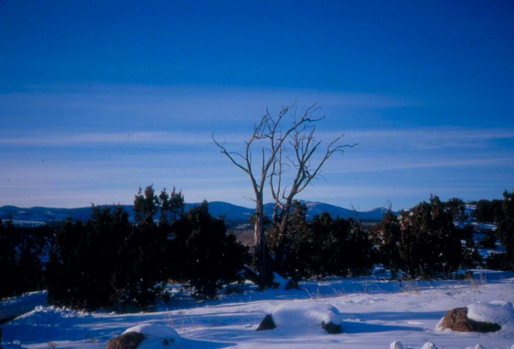 미국 애리조나주에서 촬영한 풍경 사진