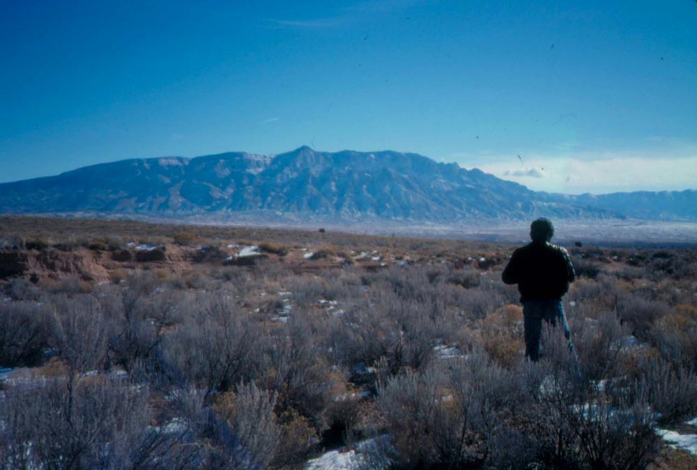 미국 애리조나주에서 촬영한 풍경 사진
