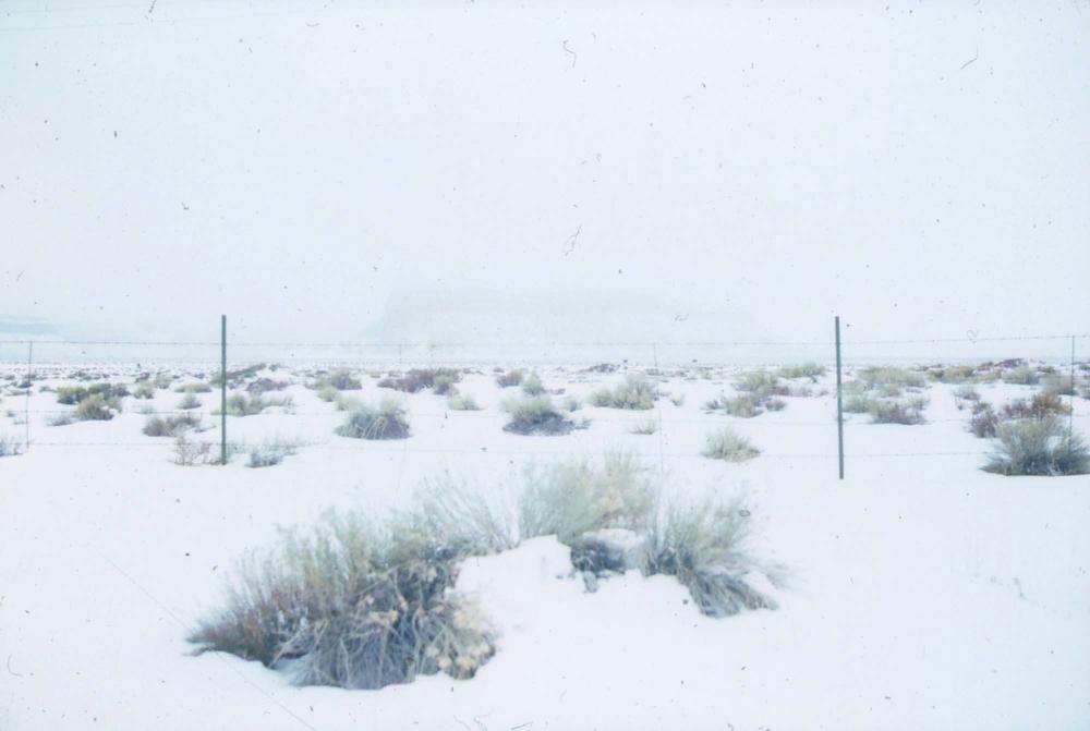 미국 애리조나주에서 촬영한 풍경 사진