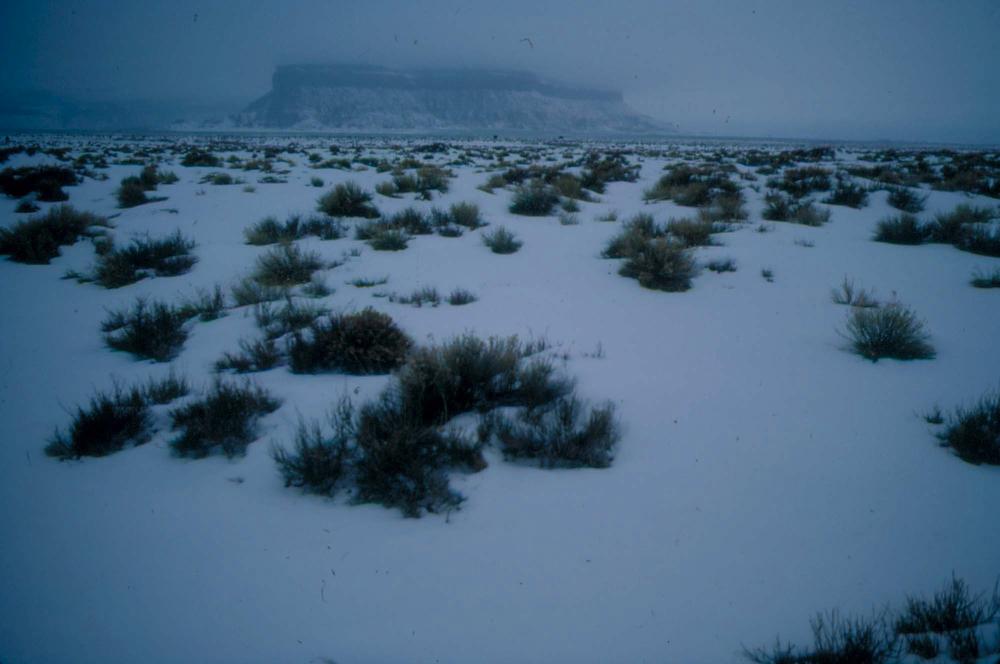 미국 애리조나주에서 촬영한 풍경 사진