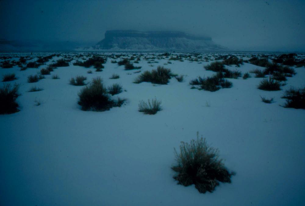 미국 애리조나주에서 촬영한 풍경 사진