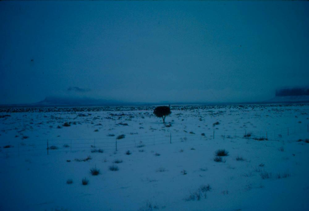 미국 애리조나주에서 촬영한 풍경 사진