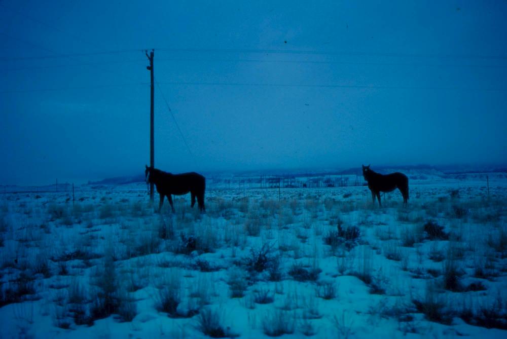 미국 애리조나주에서 촬영한 풍경 사진