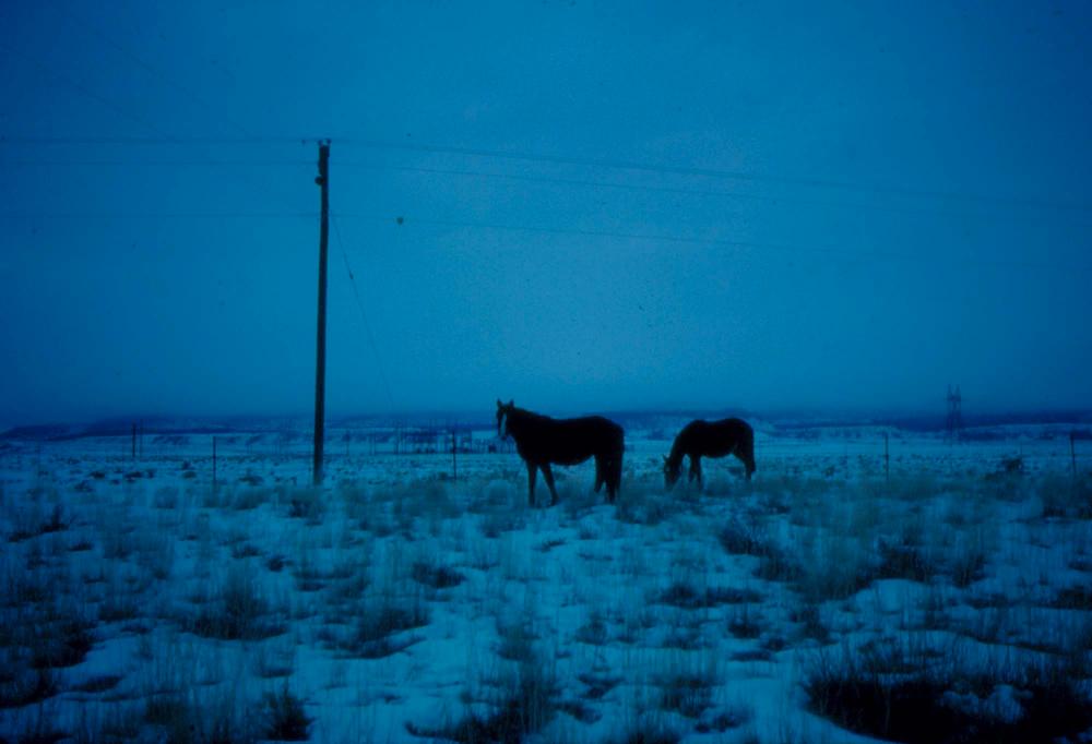 미국 애리조나주에서 촬영한 풍경 사진
