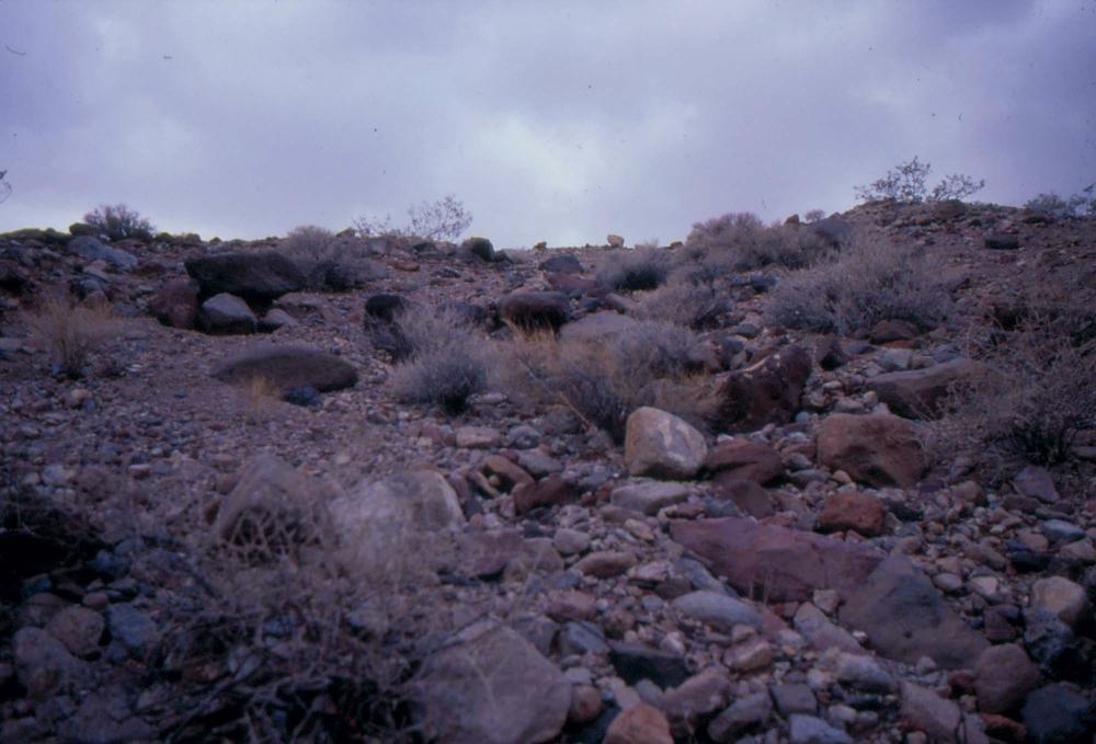 미국 애리조나주에서 촬영한 풍경 사진
