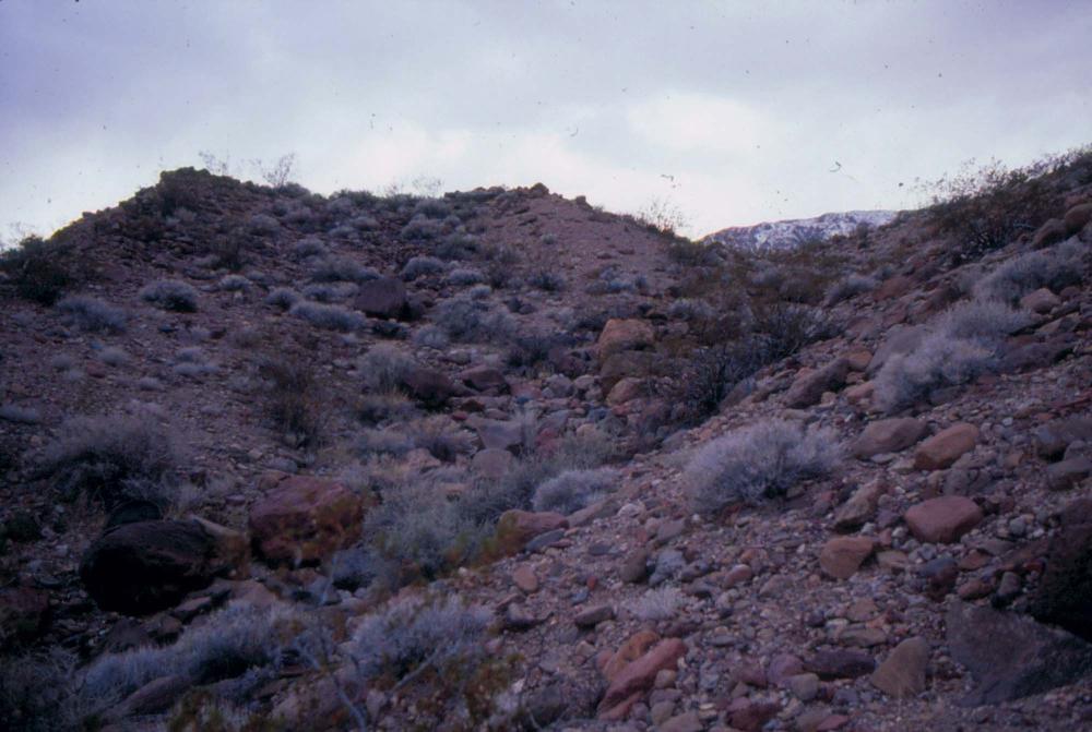 미국 애리조나주에서 촬영한 풍경 사진