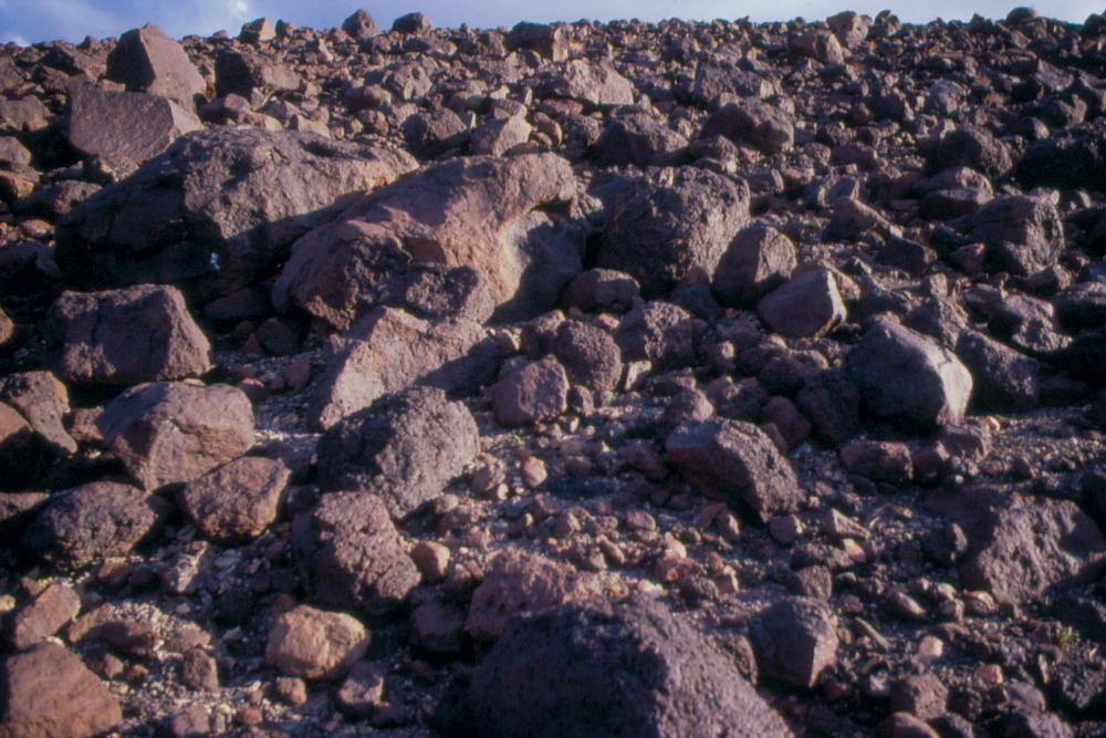 미국 애리조나주에서 촬영한 풍경 사진