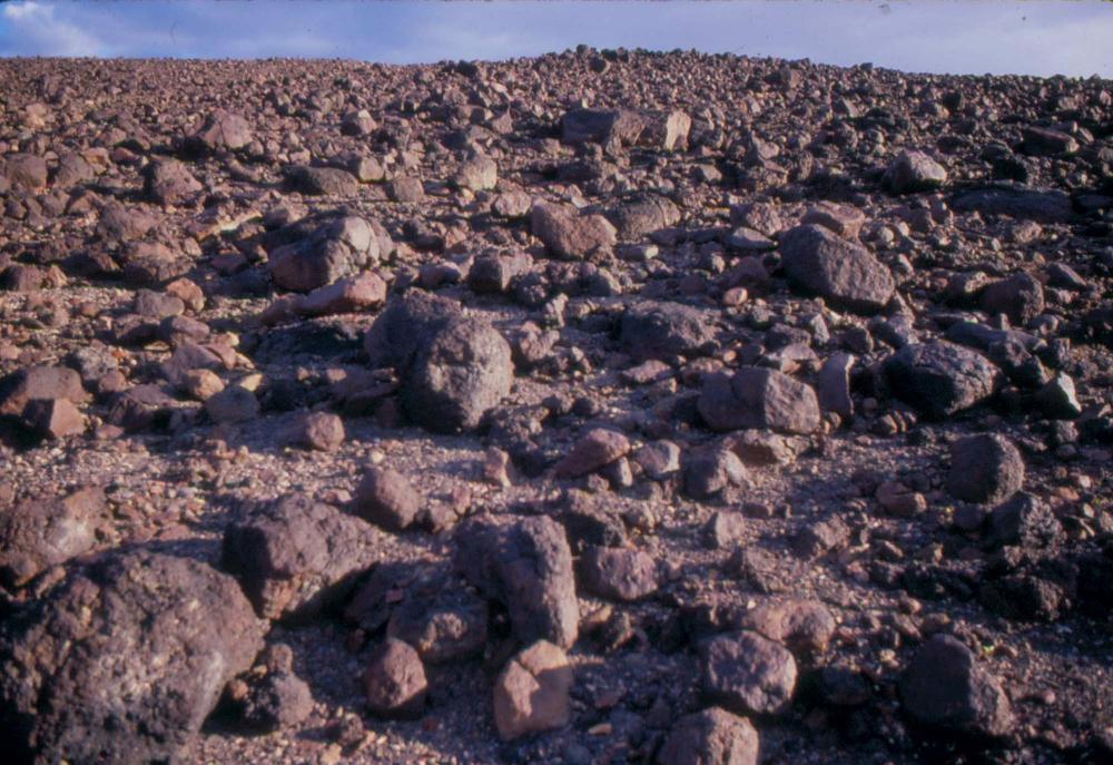 미국 애리조나주에서 촬영한 풍경 사진